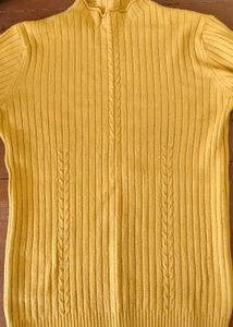 Ribbed Knit Turtleneck