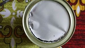 Apollo Diabetic Protein Powder