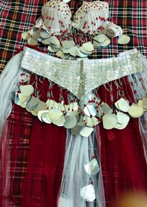 New Belly Dance Dress