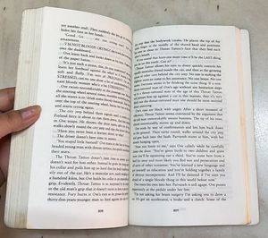 A Man Called Ove - Novel