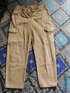 Beige Casual Pants
