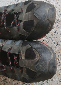 Men Shoes