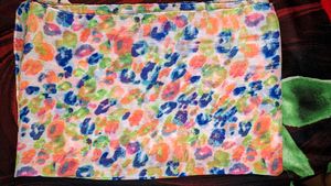 Multi Color Dupatta /Scarf
