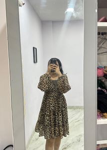Leopard Print Mini Dress