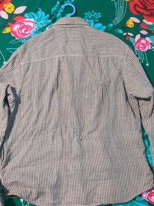 Crocodile 🐊 Shirt