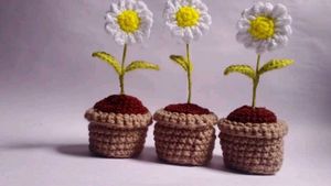 Crochet Daisy Plant Decor