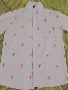 Like A New branded  Sky Blue striped Shirt Boys