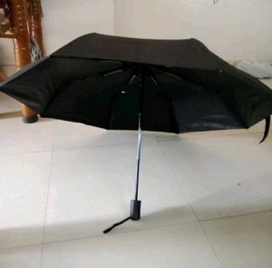 Umbrella