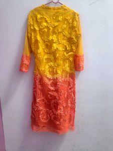 Beautiful Top With Lovely Work