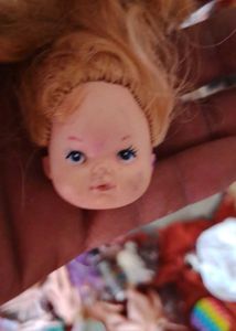 Doll