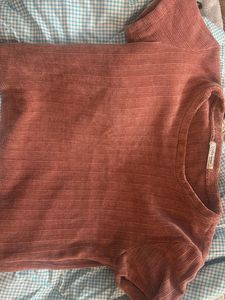 Zara Basic Cropped Tee