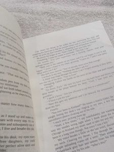 Wretched: A Never After Novel