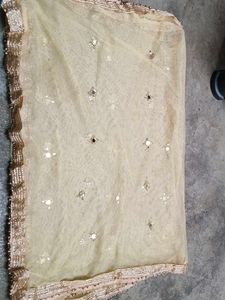 Embellished Dupatta mirror work
