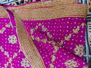 Elegant Pink & Gold dupatta