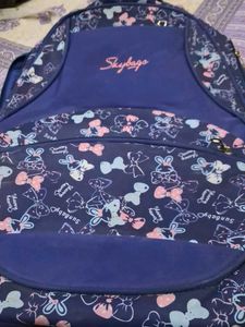 Skybags Backpack