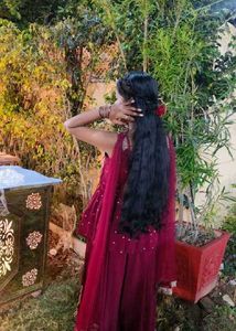 wine Embroidered sharara Set