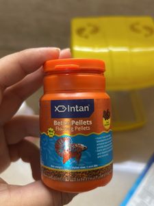 Fish Tank With Chlorine And Food