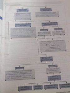 Xamidea Science Class X - Excellent Study Guide