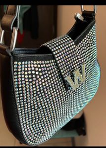 Alexandra Wang Bag