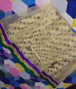 Embroidered Lehenga Choli