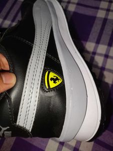 New Puma shoes Worth 650₹