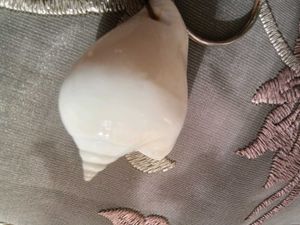 Seashell Keychain