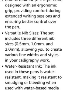 Artline Ergoline Callography Pen