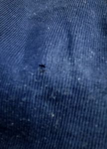 💥OFFER💥 Navy Blue Sweater