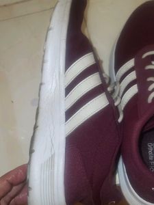 Adidas Sneakers