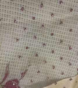 Floral organza embroidered saree