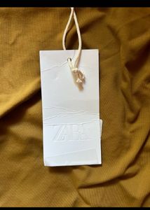 Zara Asymmetrical polyamide top