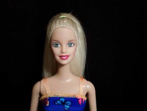 Barbie Kennel Care 2001 Doll