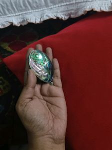 Ablone Shell Pendant