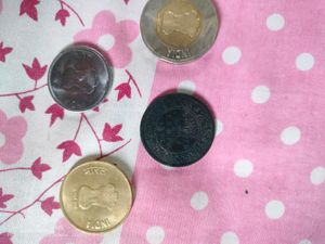 Coin Collection