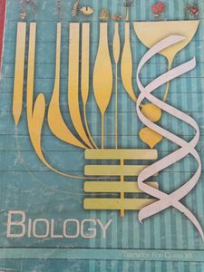 12th NCERT textbooks (physics, chemistry, biology)