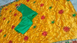 Multi Colour Saree With Blouse Design