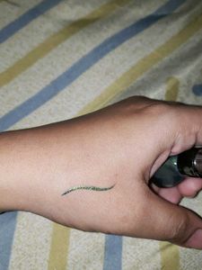 Liquid Eyeliner - Metallic Finish