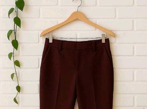 Flared Maroon Pants
