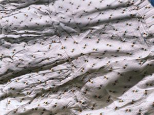 Printed Casual Skirt