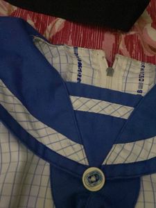 Lucknow Public school top