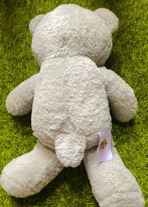 Taddy Bear Soft Toy
