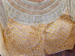 Pista Color Lehnga Choli