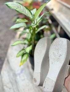 Today Offer‼️Heels(flat Heels)