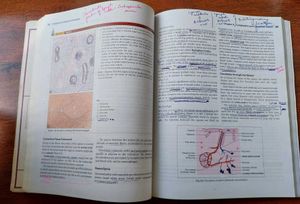 Human Histology Textbook - 8th Edition