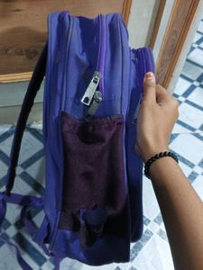 Frozen Backpack