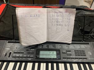 Casio CTK-3500 61-Key Portable Keyboard with Piano tones With Adapter And Casio Carry Case