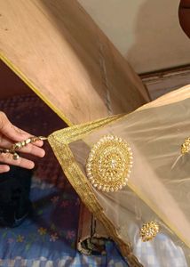 Ethnic long Gown with heavy dupatta