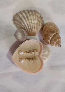 Classic Zig Zag Pearl Hanging Earring 🦪