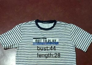 Cotton T Shirt (Pick Any @159)