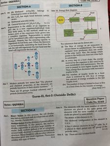 Class 10 Science Question Bank